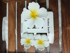 Hibiscus Matte 3 Piece Hair clip