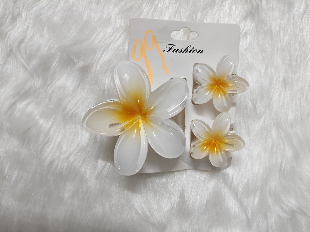 3 Piece Combo Hair Clips