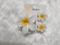 3 Piece Combo Hair Clips