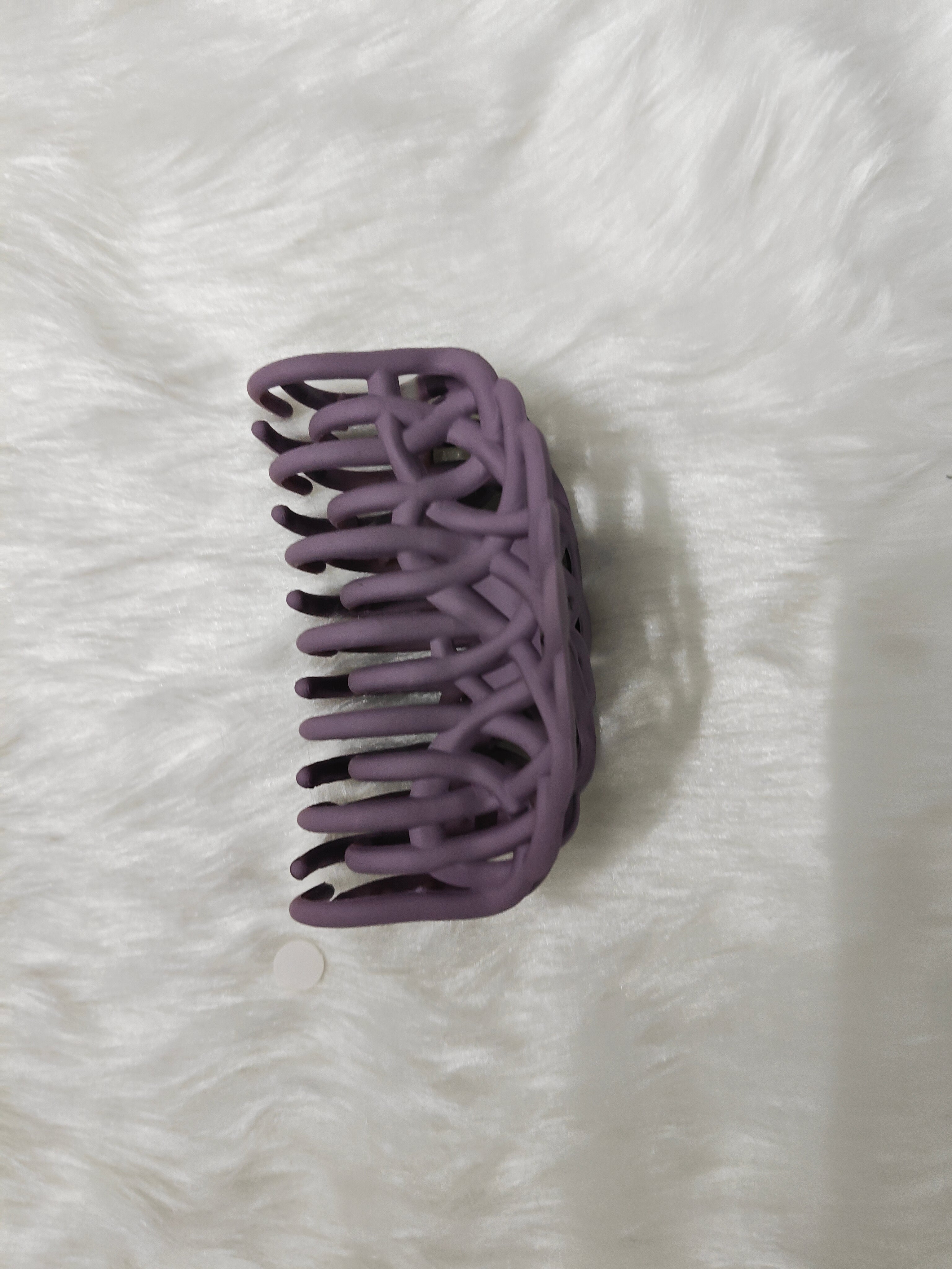 Big Catchy Hair Clips