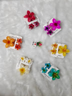 Colourful 3 Piece set Hair Clips