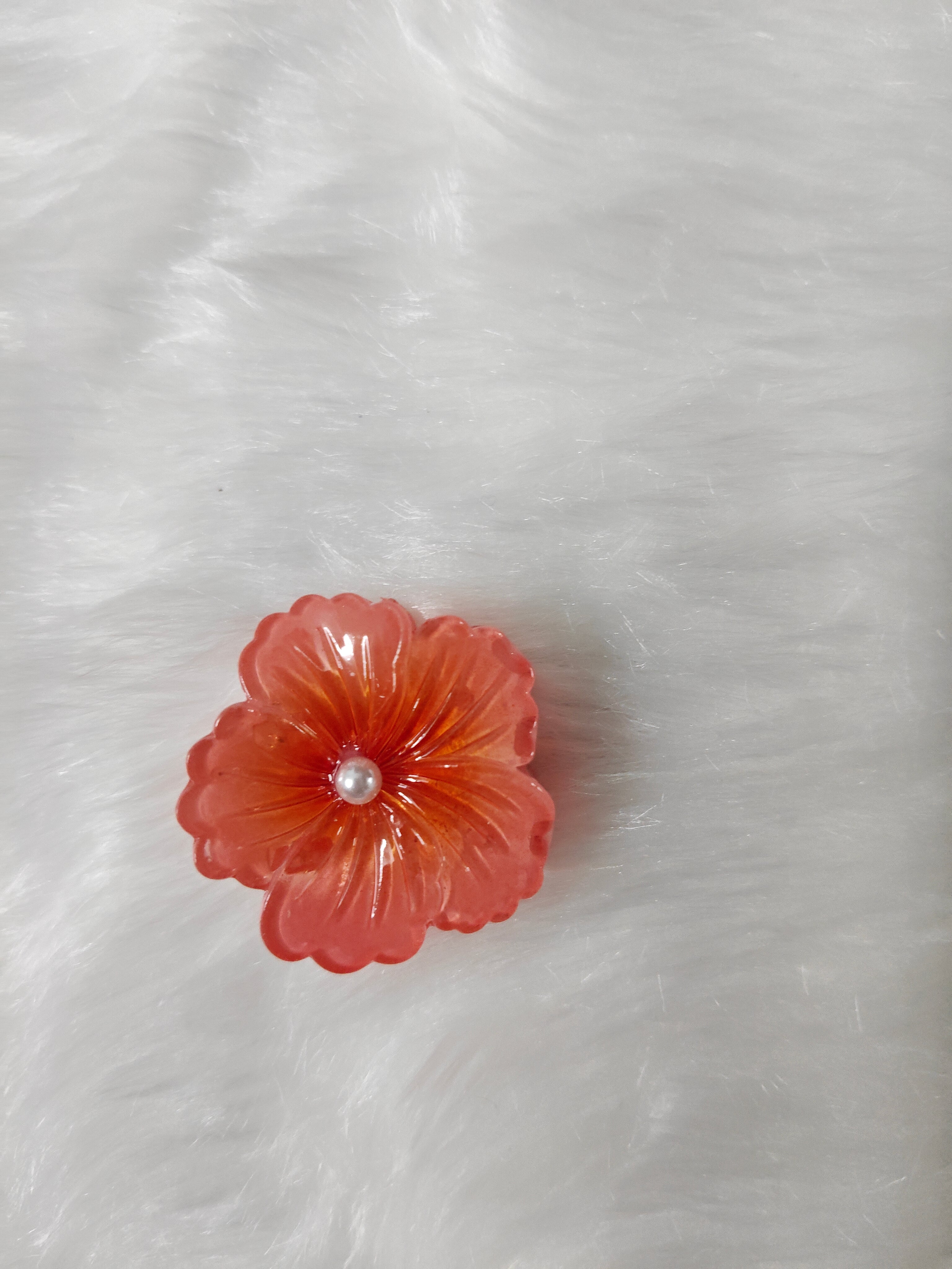 Glossy Pearl Hibiscus