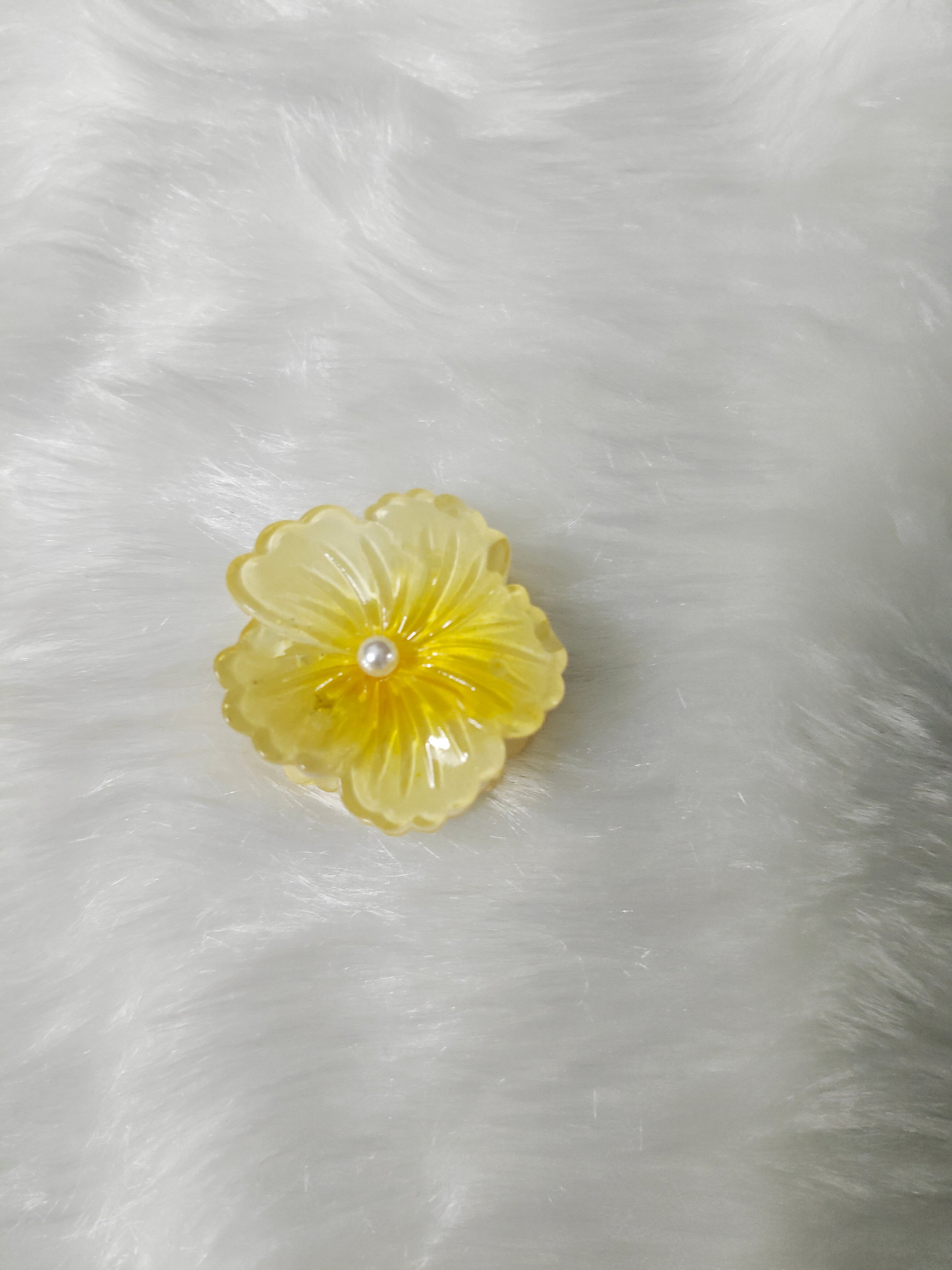 Glossy Pearl Hibiscus