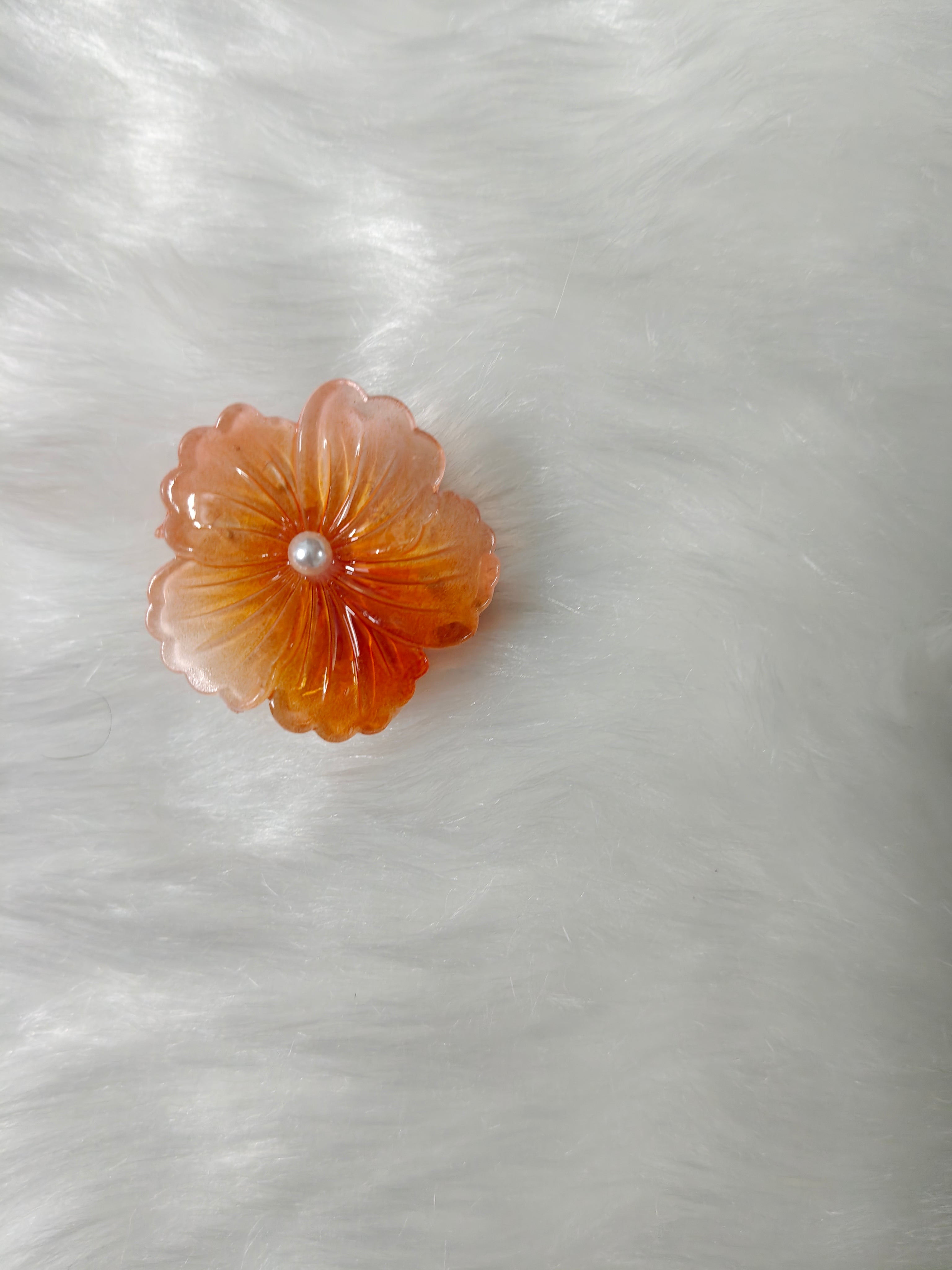 Glossy Pearl Hibiscus