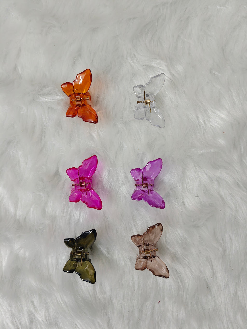 Small Glossy Butterfly