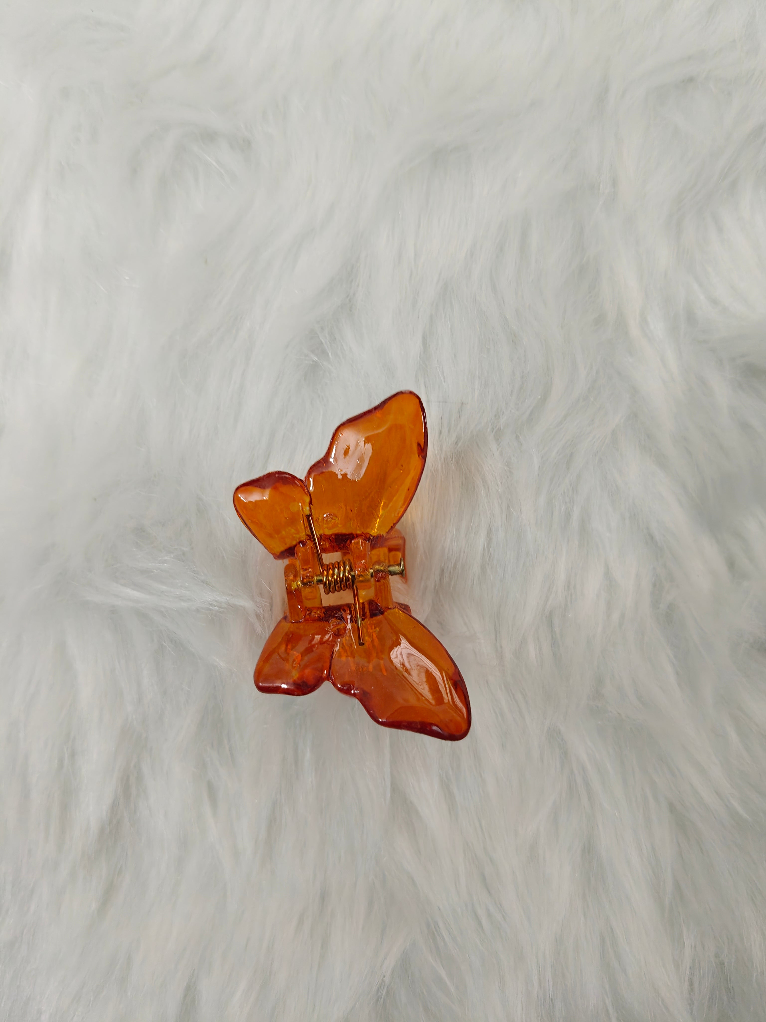 Small Glossy Butterfly