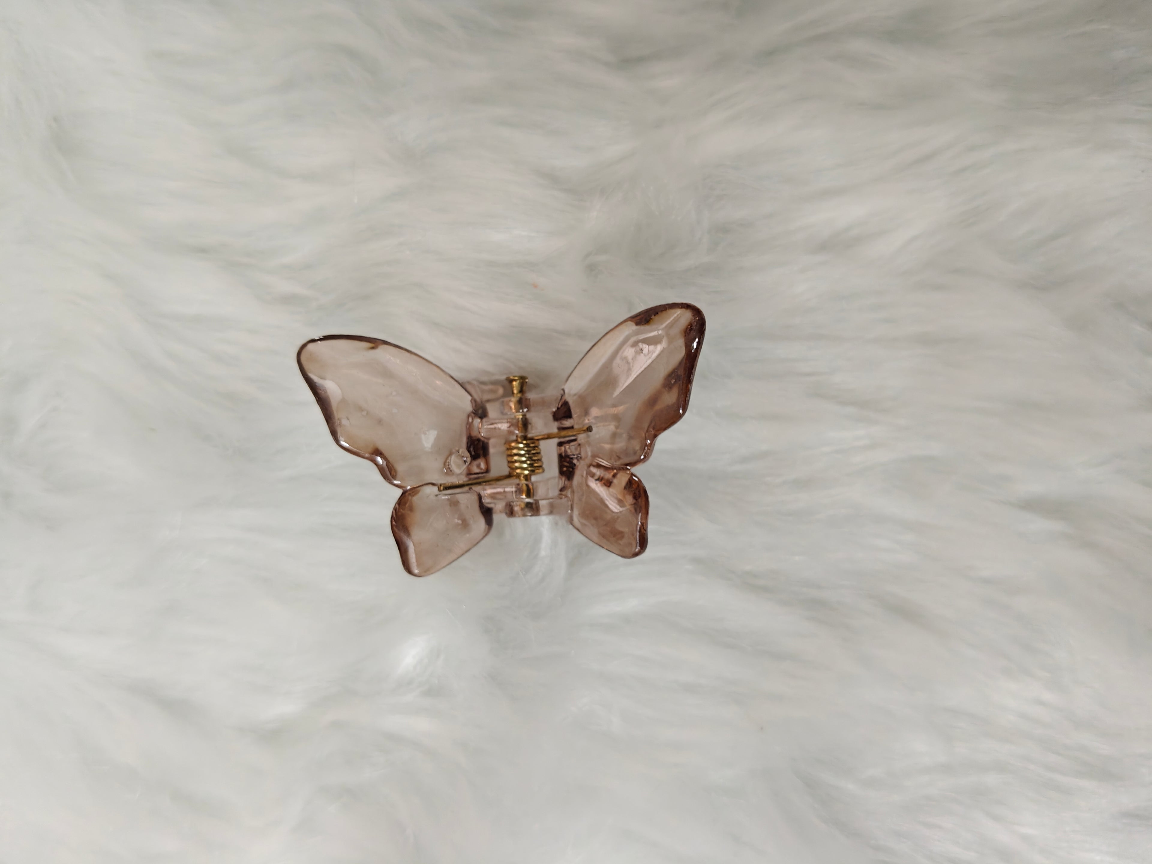 Small Glossy Butterfly