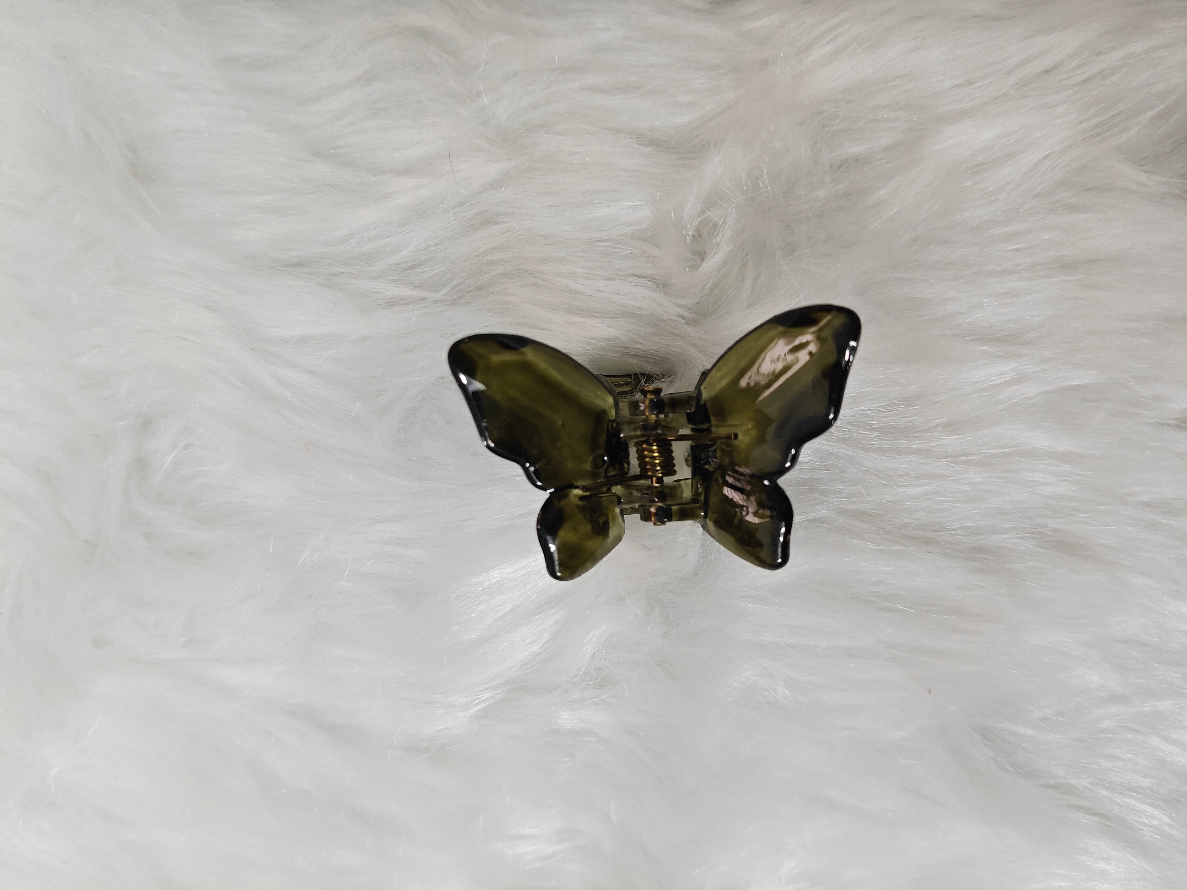 Small Glossy Butterfly