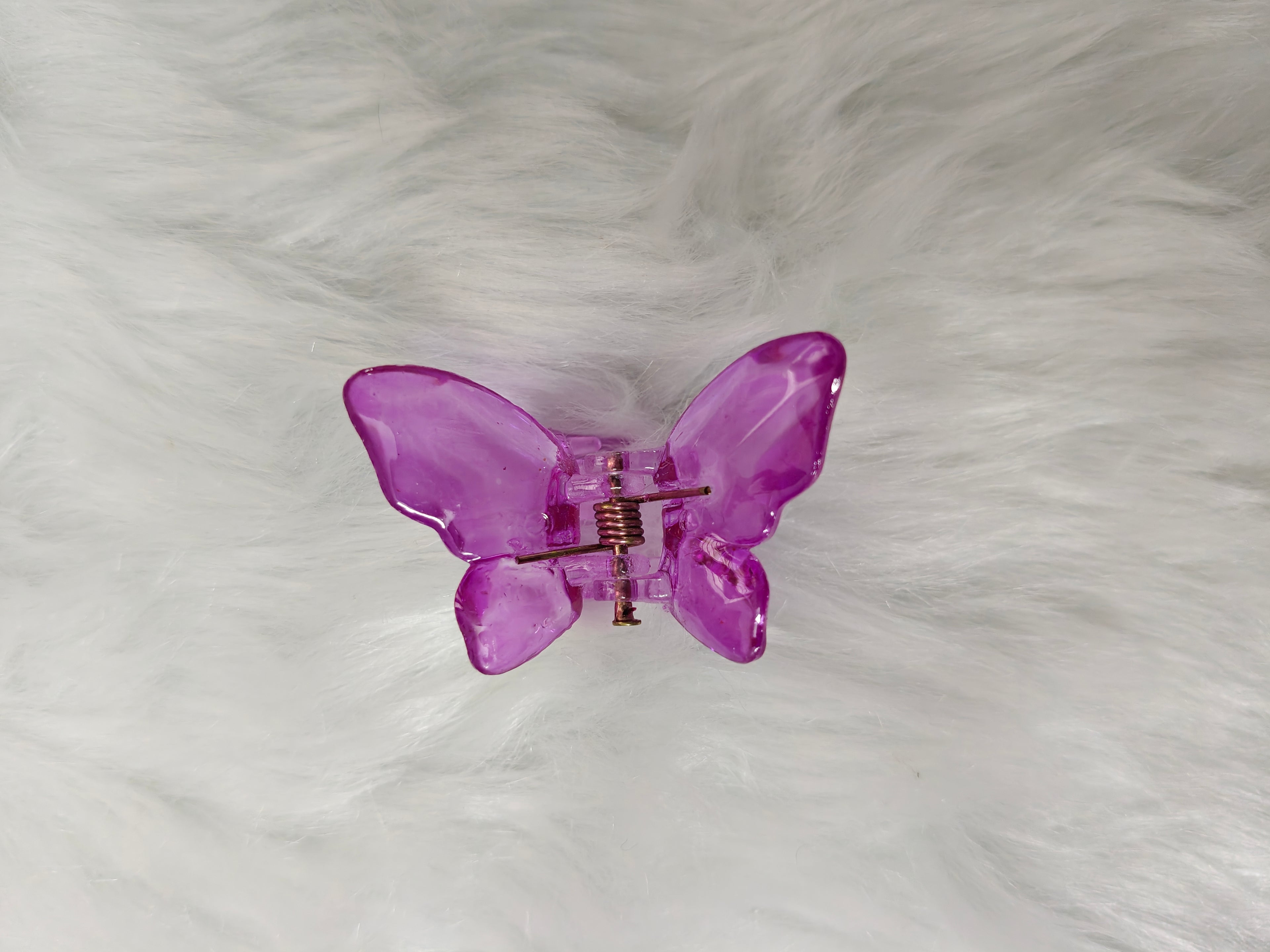 Small Glossy Butterfly