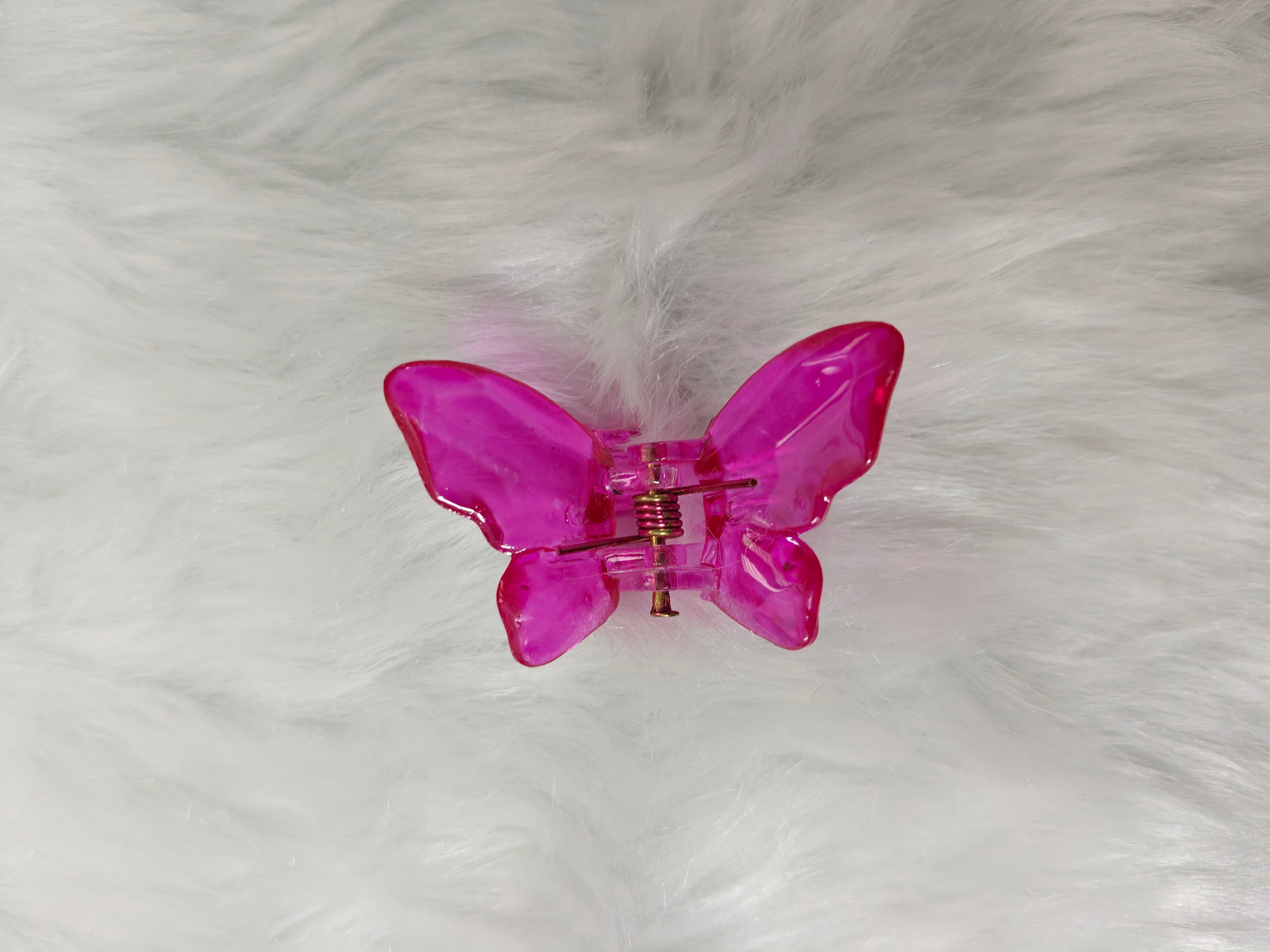 Small Glossy Butterfly