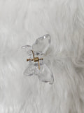 Small Glossy Butterfly
