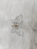 Small Glossy Butterfly
