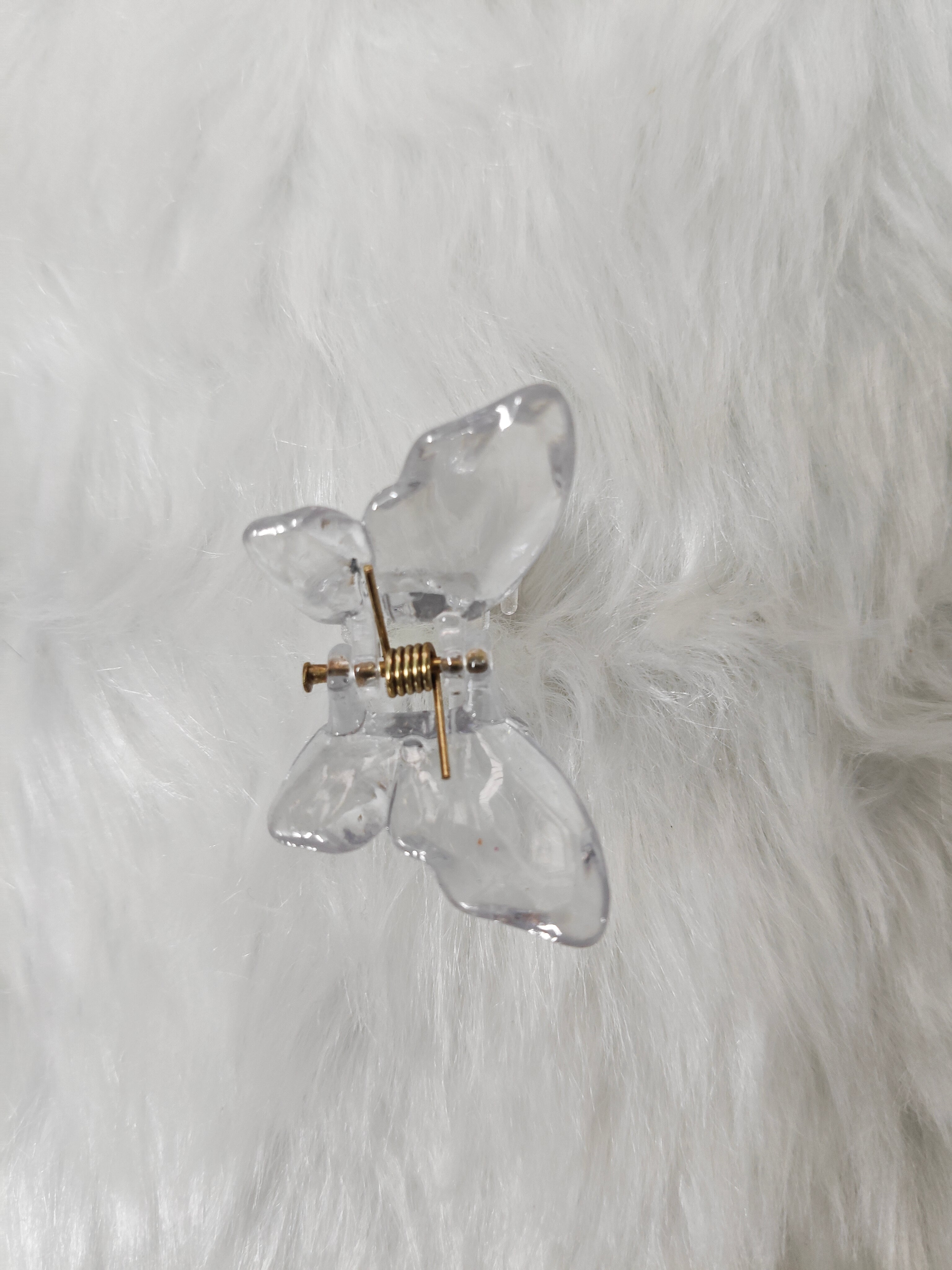 Small Glossy Butterfly